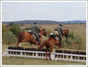 A soproni Nádasdy-huszárok a Nemzetközi lovassági napokon