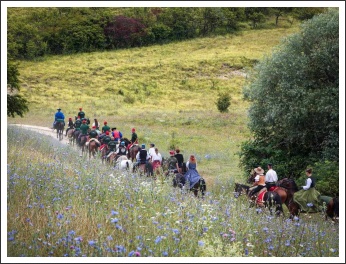 XIII. Görgei Emléktúra 