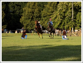 "Csupán a magyar kezében cseng a kard..." (forrás: papa-ma.hu)