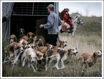 Radetzky Huszár Vadászlovaglás 2018 (fotó: Haga Zsuzsnna)