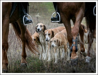 Radetzky Huszár Vadászlovaglás 2018 (fotó: Haga Zsuzsnna)