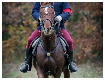 Radetzky Huszár Vadászlovaglás 2018 (fotó: Haga Zsuzsnna)