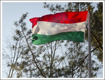 Fehérvári huszárok Limanowában