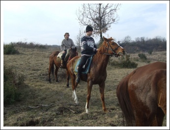 Beszámoló az 2017. évi Radetzky Akadémiáról