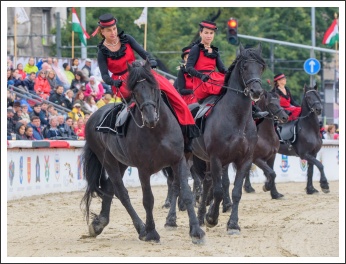 Szövetségünk 25. évfordulós ünnepsége (fotó: Pető István)