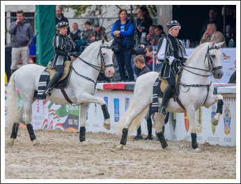 Szövetségünk 25. évfordulós ünnepsége (fotó: Pető István)