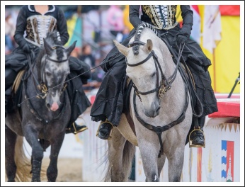 Szövetségünk 25. évfordulós ünnepsége (fotó: Pető István)