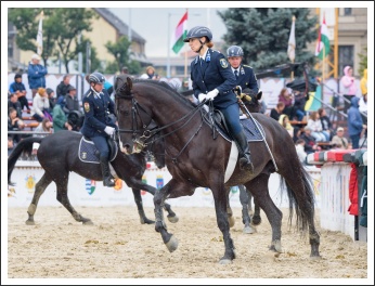 Szövetségünk 25. évfordulós ünnepsége (fotó: Pető István)