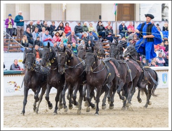 Szövetségünk 25. évfordulós ünnepsége (fotó: Pető István)