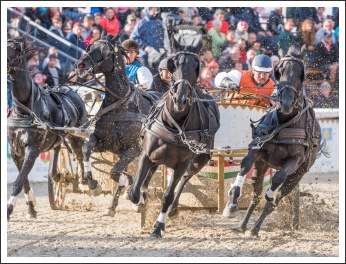 Szövetségünk 25. évfordulós ünnepsége (fotó: Pető István)