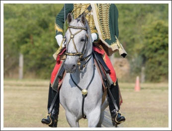 Élményeim Táborfalván (fotó: Pető István)