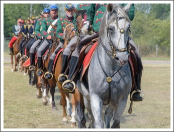 Élményeim Táborfalván (fotó: Pető István)