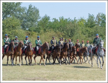 Élményeim Táborfalván (fotó: Pető István)