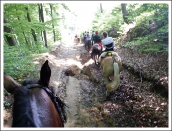 Trianon 100 – Görgei 10 – lóháton határtalanul