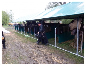 Trianon 100 – Görgei 10 – lóháton határtalanul