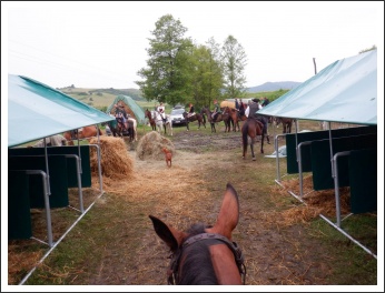 Trianon 100 – Görgei 10 – lóháton határtalanul