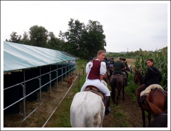 Trianon 100 – Görgei 10 – lóháton határtalanul