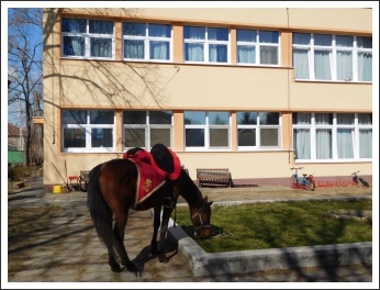 A „VÉRTES” Egyesület március 15-éje