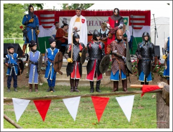 Beszámoló a „VÉRTES” Egyesület 2019-es évéről - Iharos