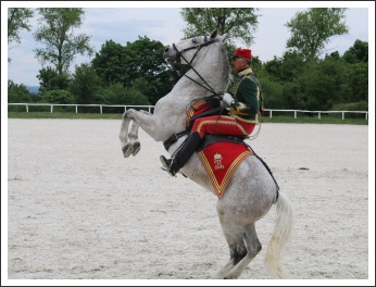 Kishuszárok Simonpusztán (fotó: Szabolcs István)