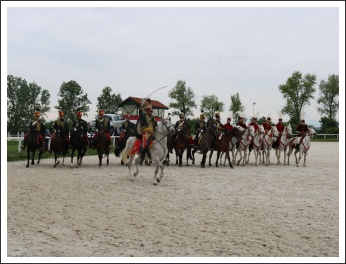 Kishuszárok Simonpusztán (fotó: Szabolcs István)