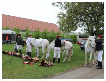 Kishuszárok Simonpusztán (fotó: Szabolcs István)