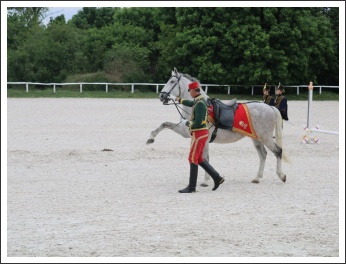 Kishuszárok Simonpusztán (fotó: Szabolcs István)