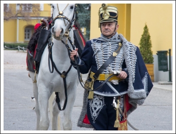 MHKHSZ-konferencia Bábolnán - fotó: Pető István